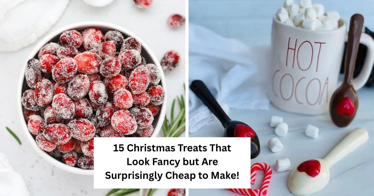 15 Christmas Treats That Look Fancy but Are Surprisingly Cheap to Make!