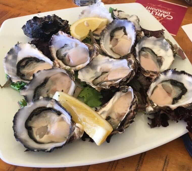 Oysters